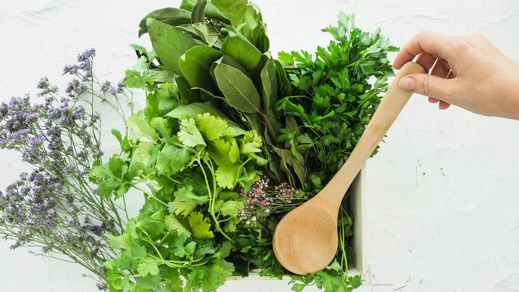 Where It’s Grown Matters — The Soil Story Behind SOMA