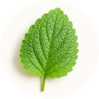 Lemon Balm